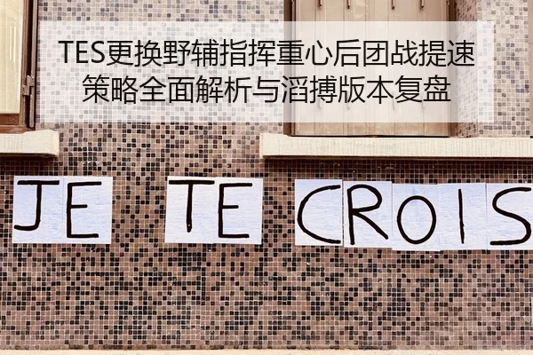 TES更换野辅指挥重心后团战提速策略全面解析与滔搏版本复盘