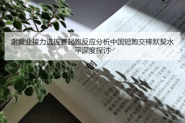 谢震业接力选拔赛起跑反应分析中国短跑交棒默契水平深度探讨
